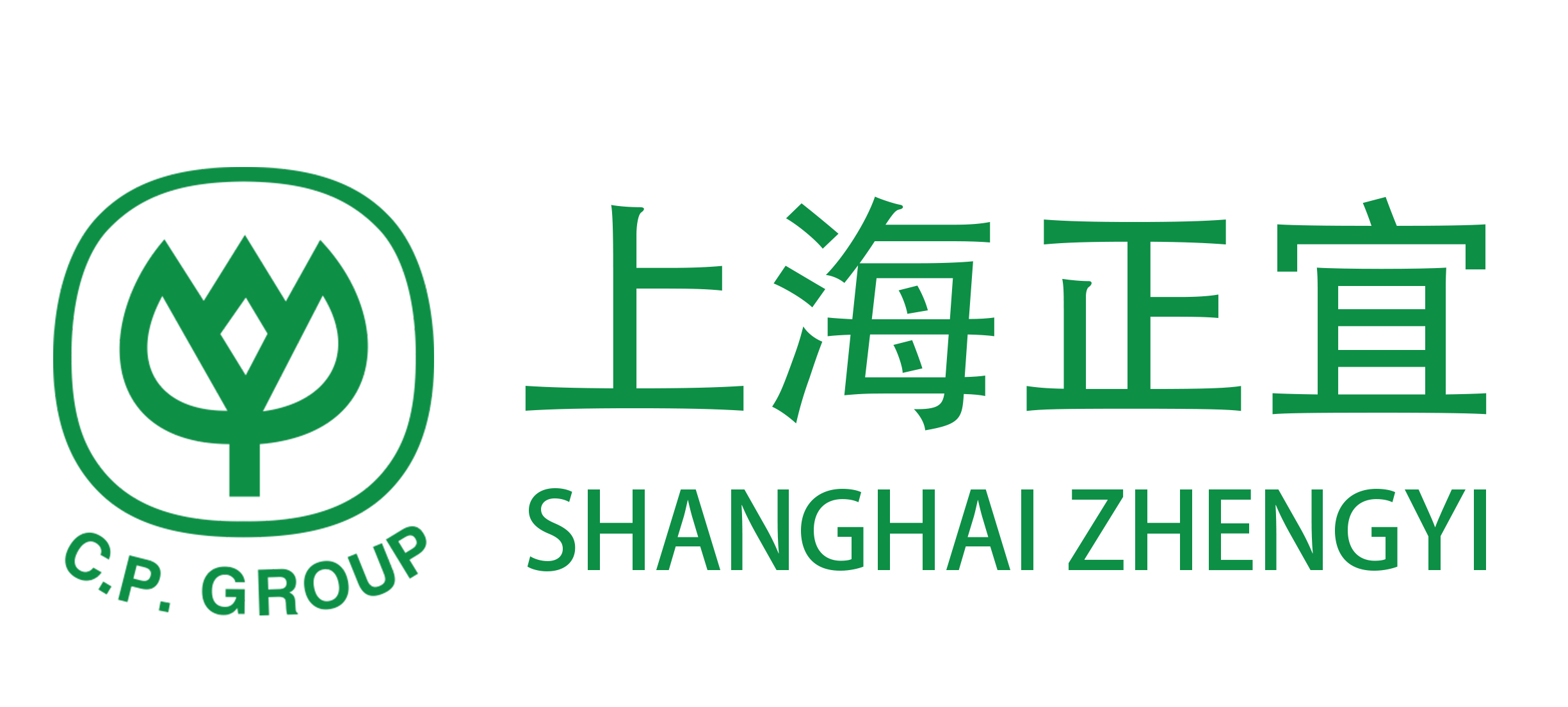 Shanghai Zhengyi Machinery Engineering Technology Manufacturing Co., Ltd.