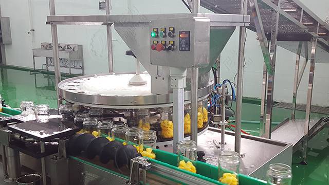 Yellow Peach Canned Production Line Fruit Canned Processing Equipment