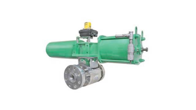 Trunnion metal seat ball valve