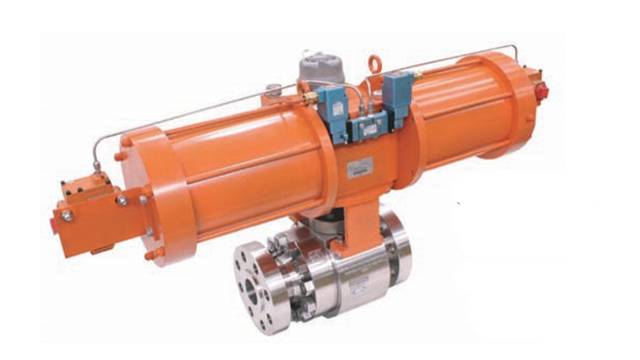 Pulse injection valve