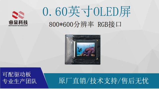 Rayvision RVXR060SVGA Micro OLED Display