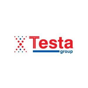 Testa