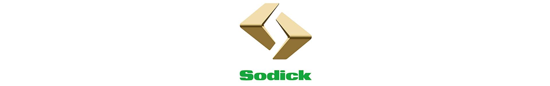 Sodick