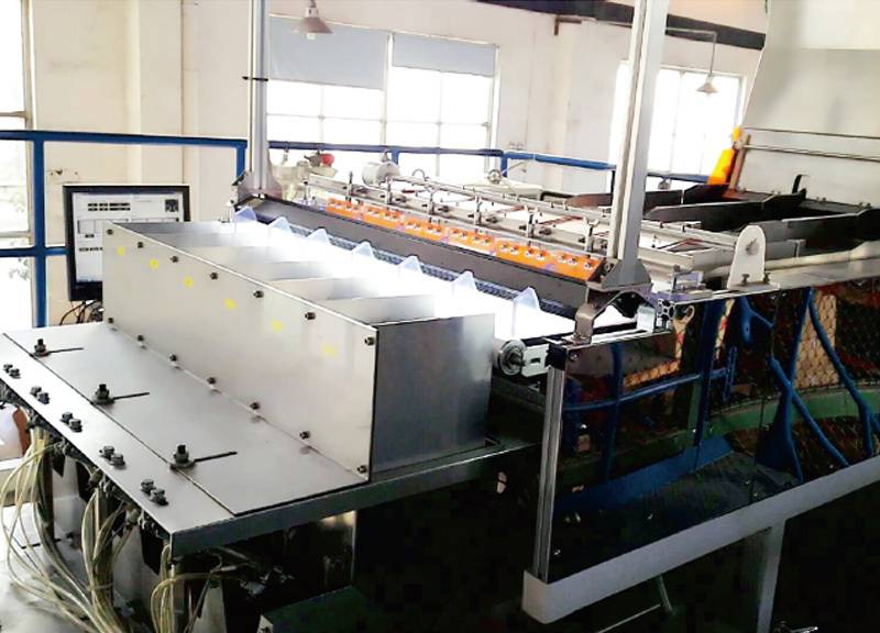 Counting combination packaging machine