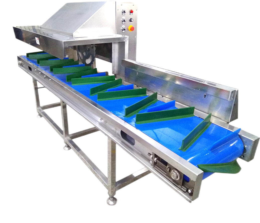 Automatic cabbage root cutting machine
