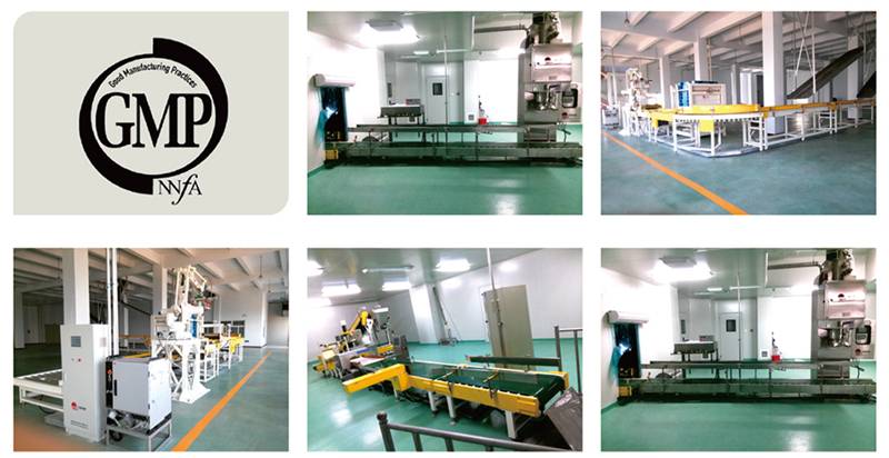 GMP packaging palletizer project