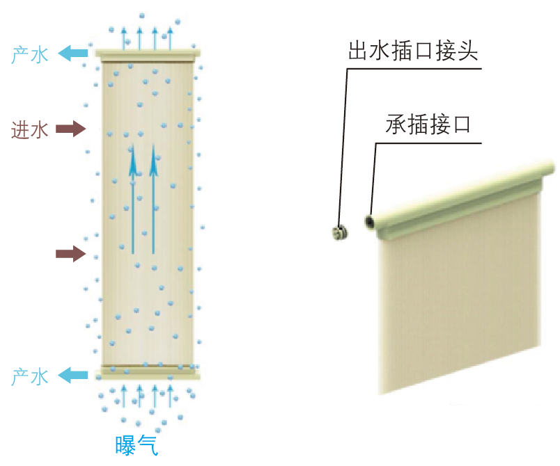 Hollow fiber membrane assembly