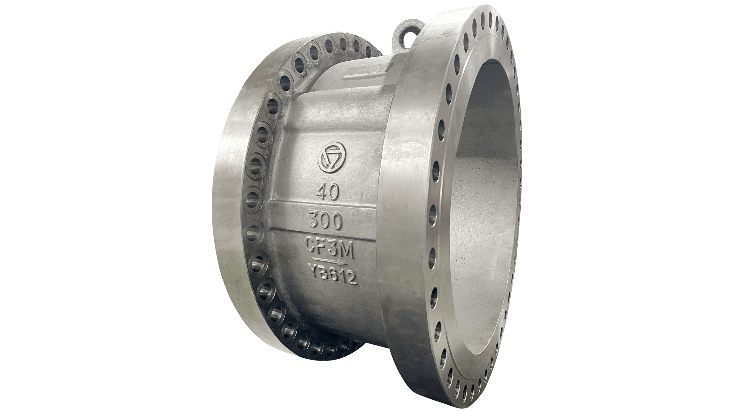 Swash plate check valve