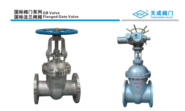 GATE valve