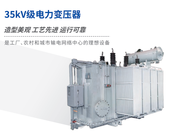 Oil-immersed Transformer
