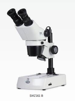 stereomicroscope