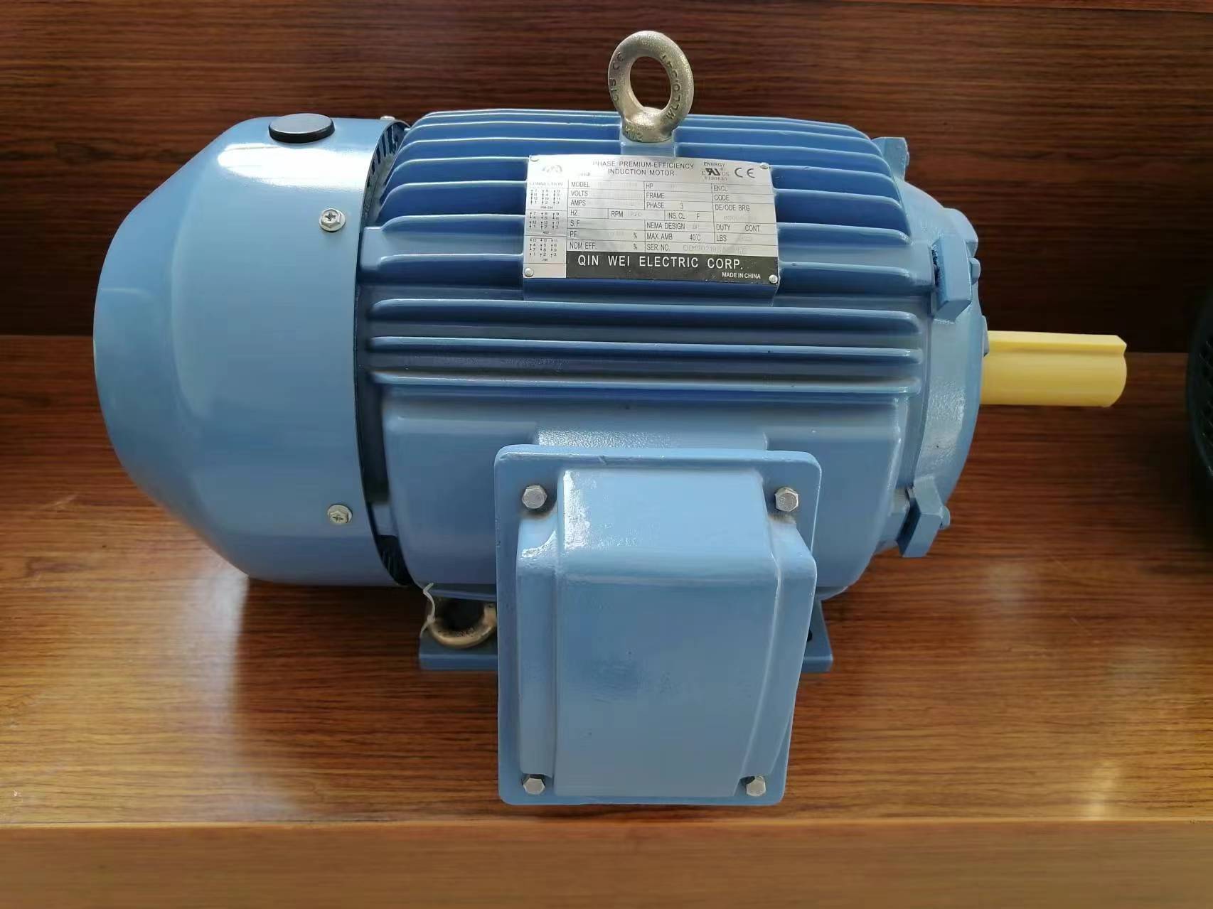 ODP cast iron motor IE3