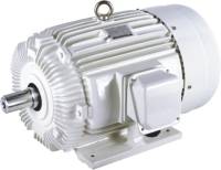 NEMA standard three-phase motors (Design D, dedicated for oil well pump)