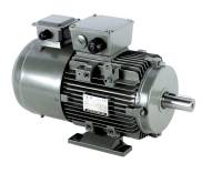 Adjustable Frequency Electric Motor