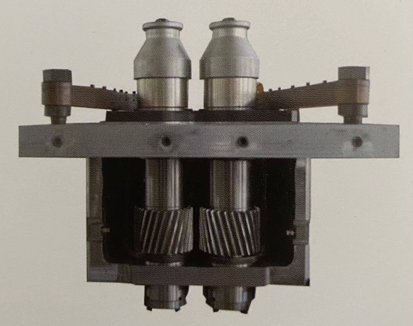 Assembly of Mandrel