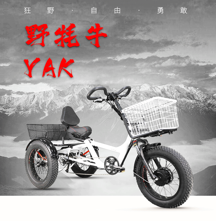Power-assisted Tricycle