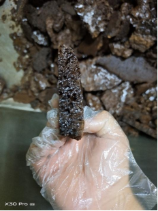 粘贴的图片