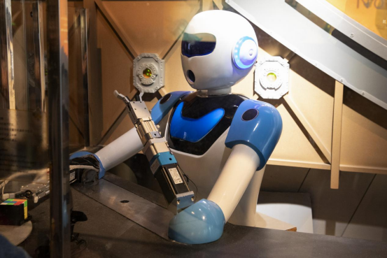 humanoid robots