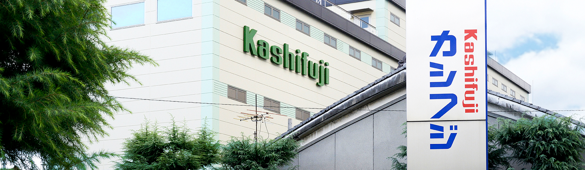 KASHIFUJI