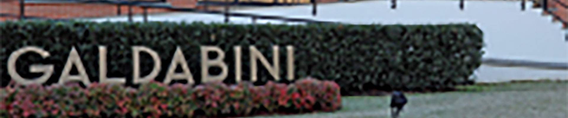  GALDABINI 