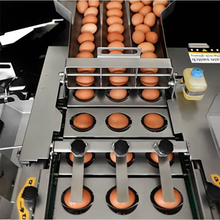 Egg separator