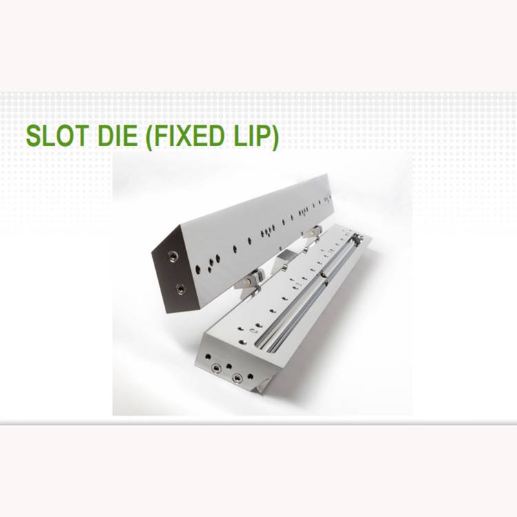 CTSD Coating slot dies