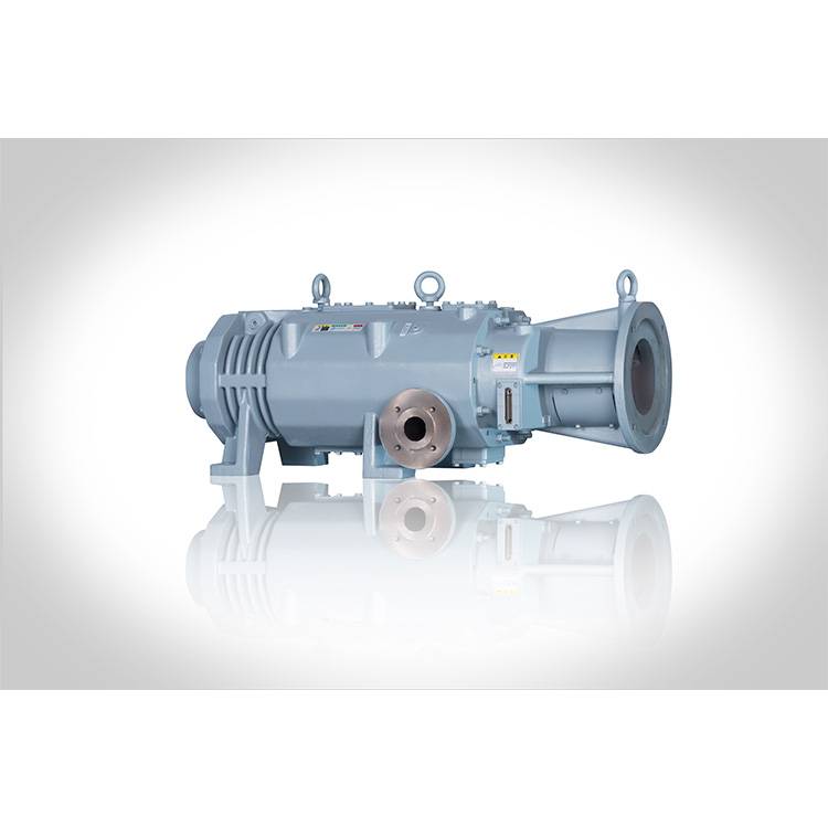 VSP screw vacuum pump