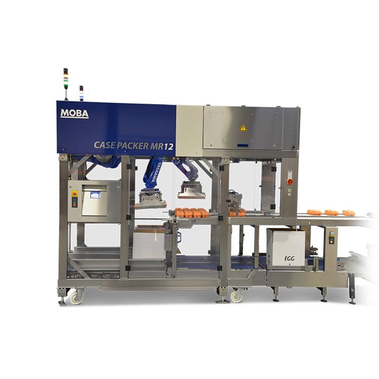 Egg grader and egg processing equipment