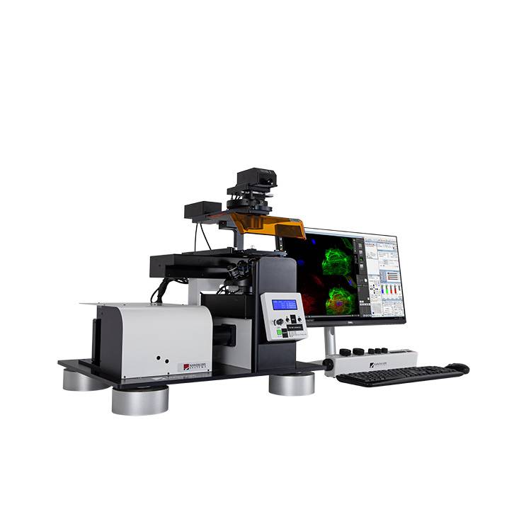 K1-Fluo laser fluorescence confocal microscope