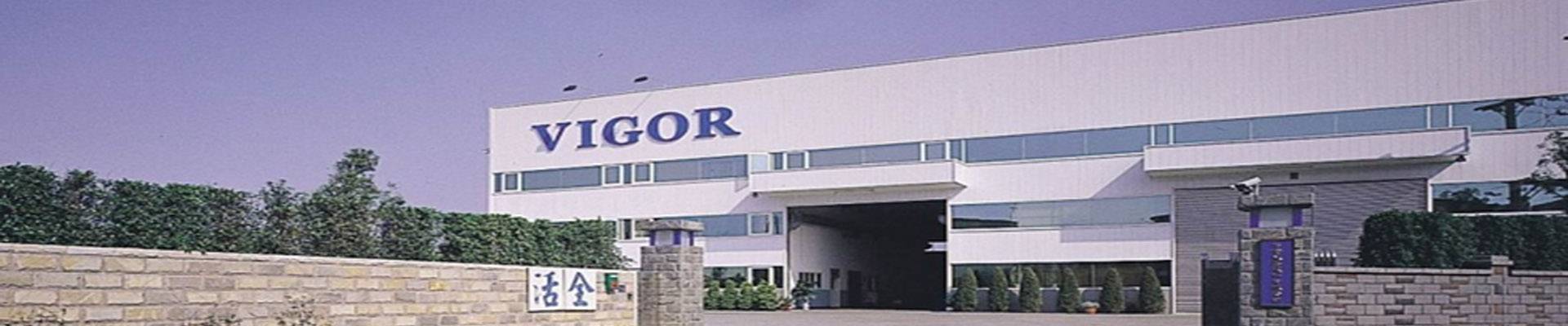 VIGOR