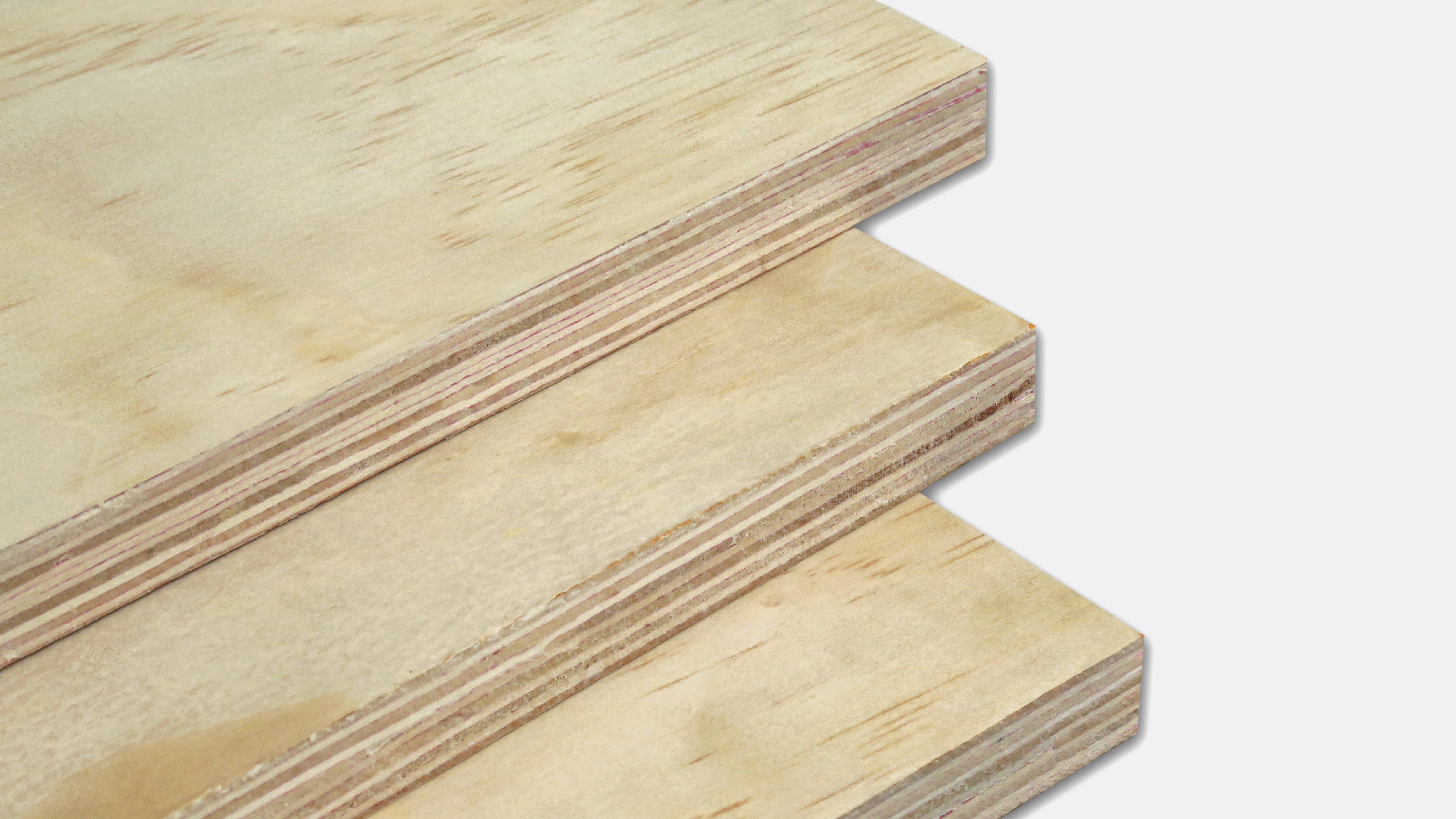 Pine Plywood