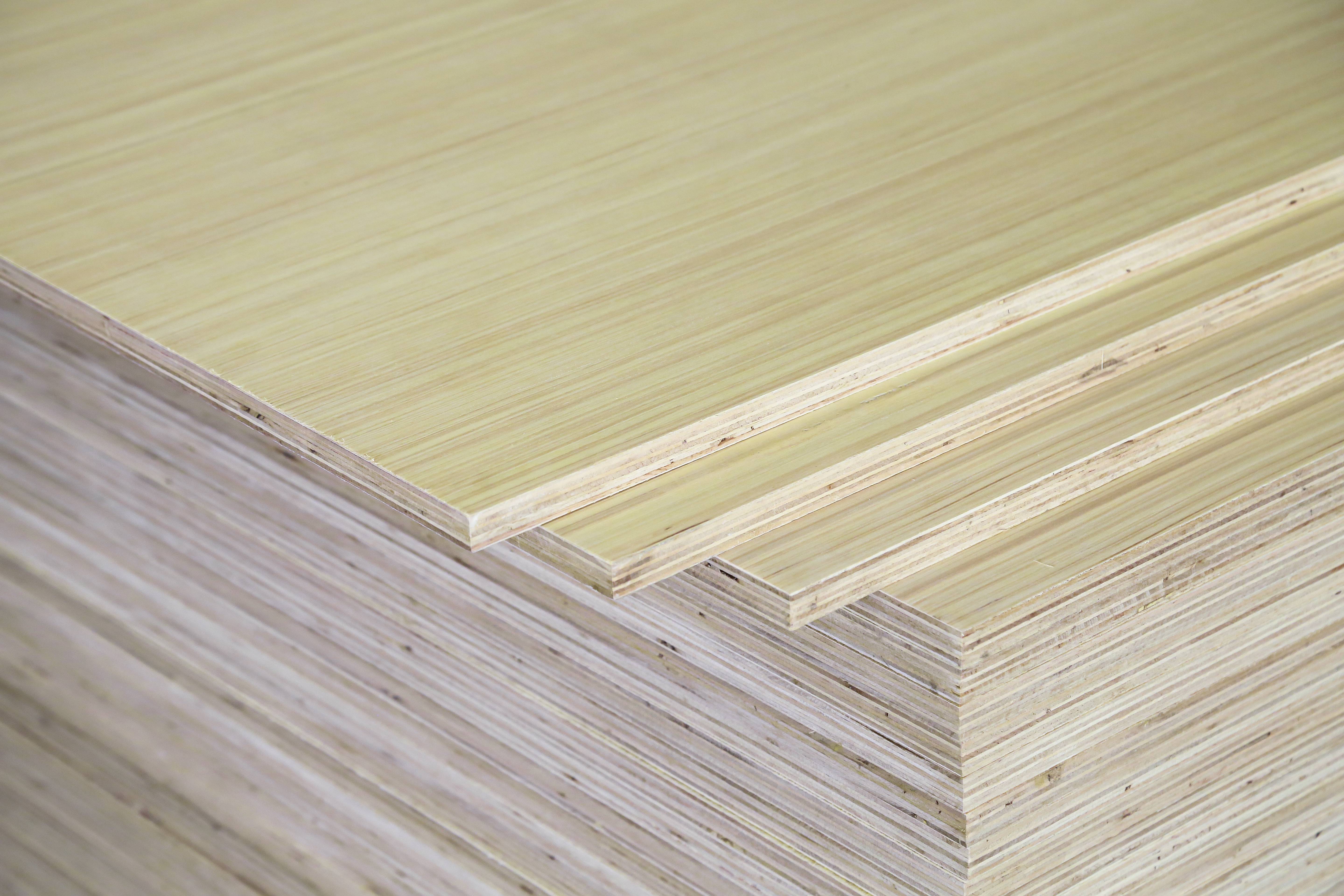 EV Plywood