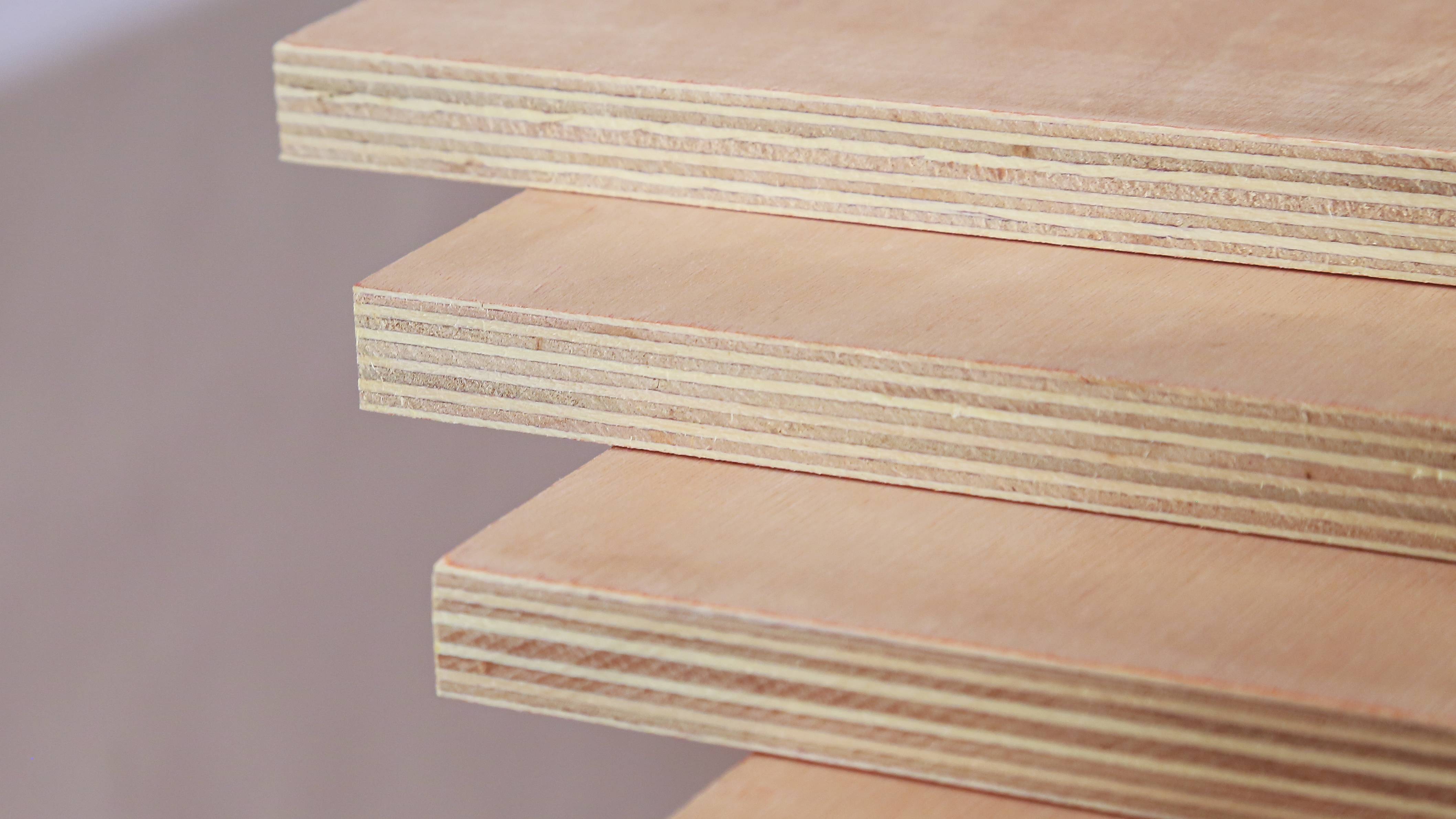 Okoume Plywood