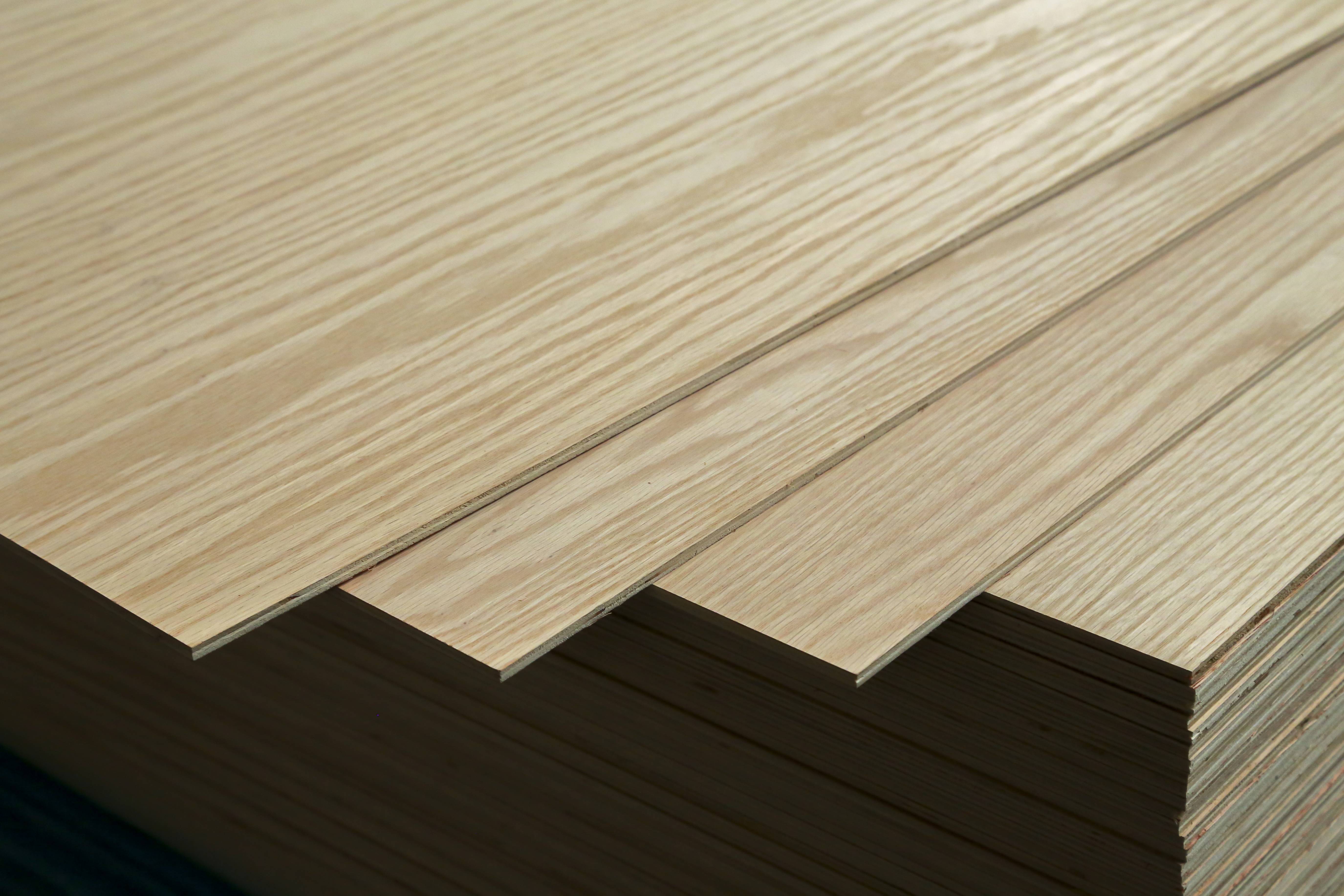 Red Oak Plywood