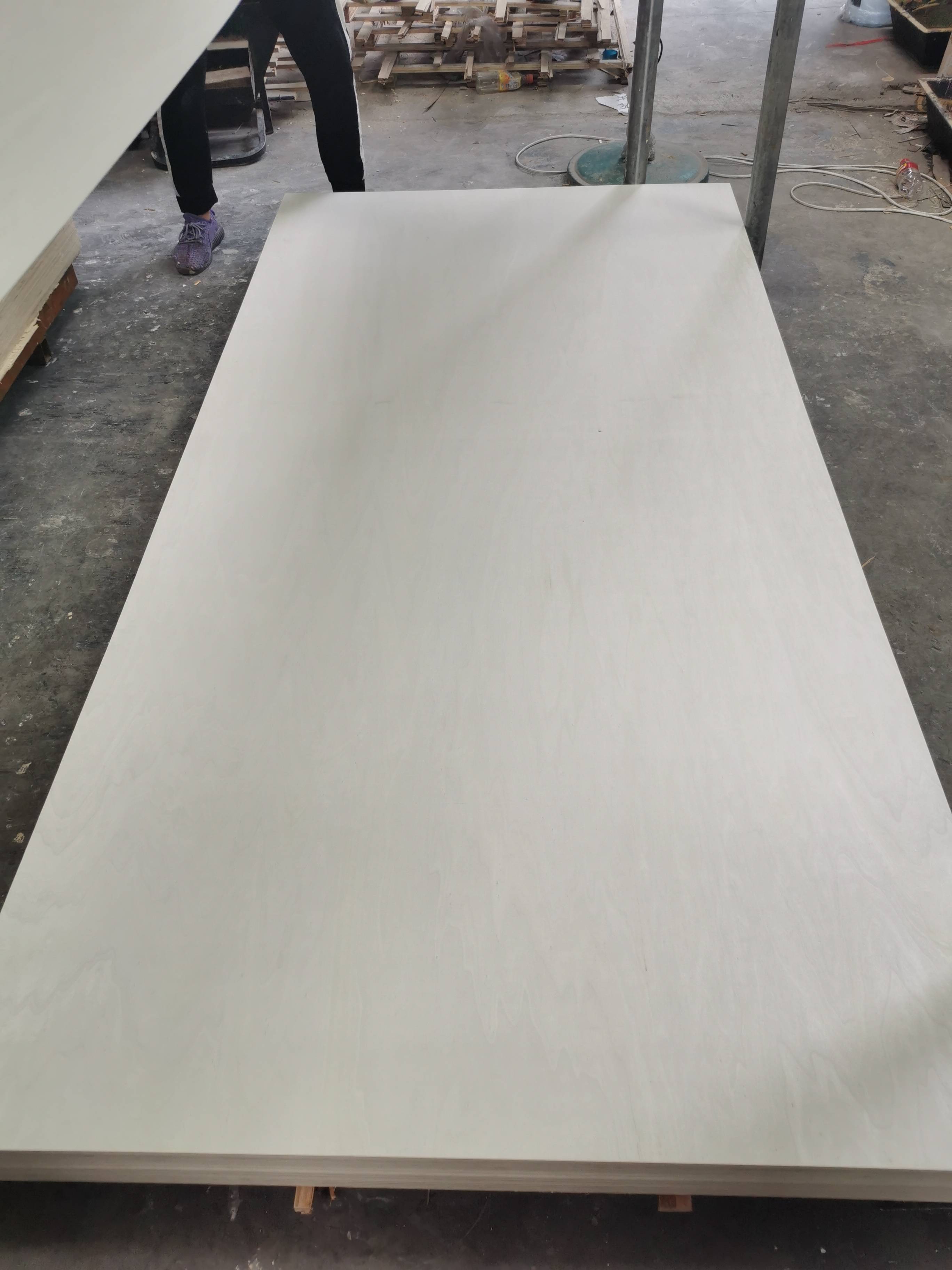 Bleached Poplar Plywood