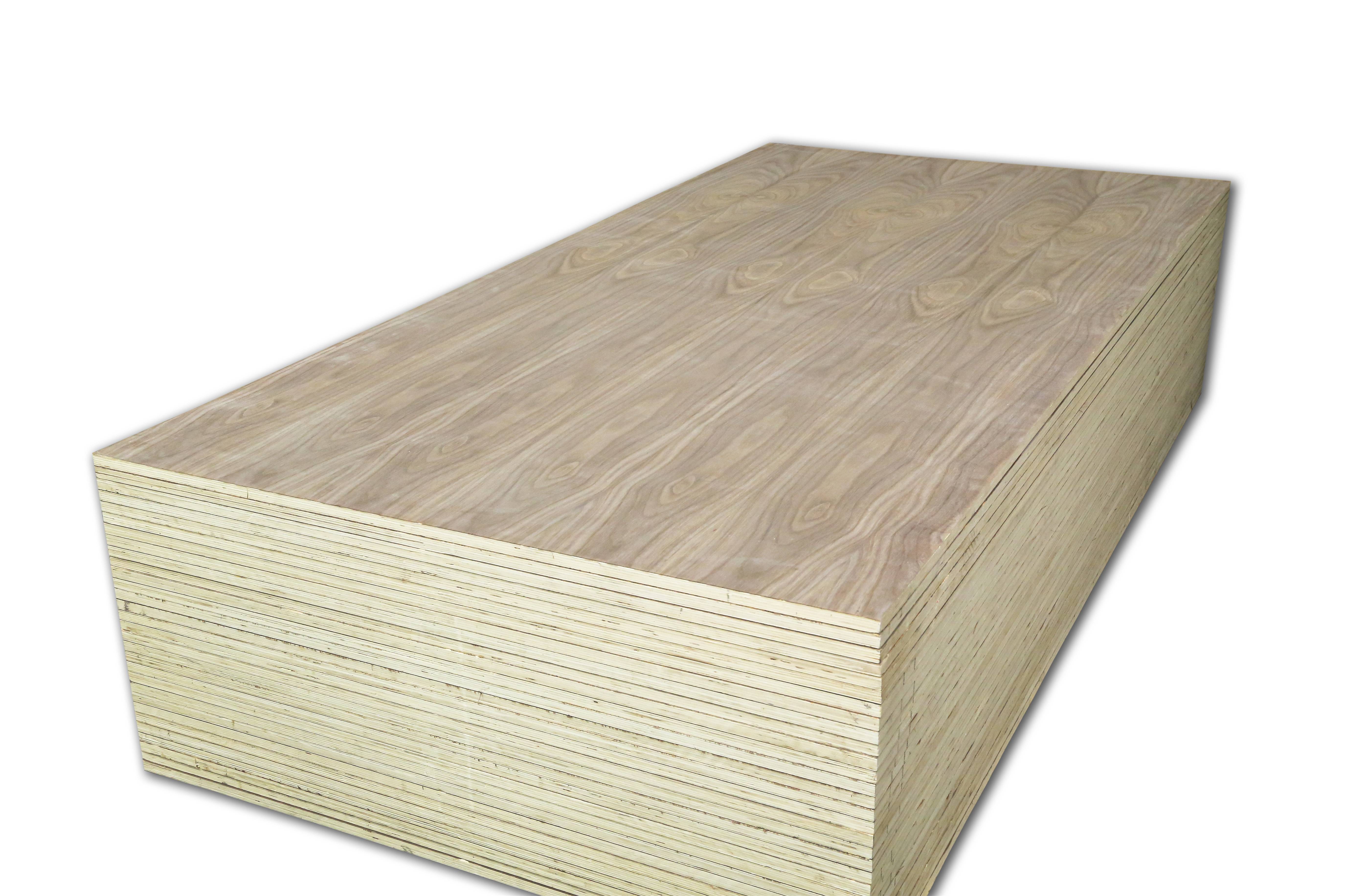 Walnut Plywood