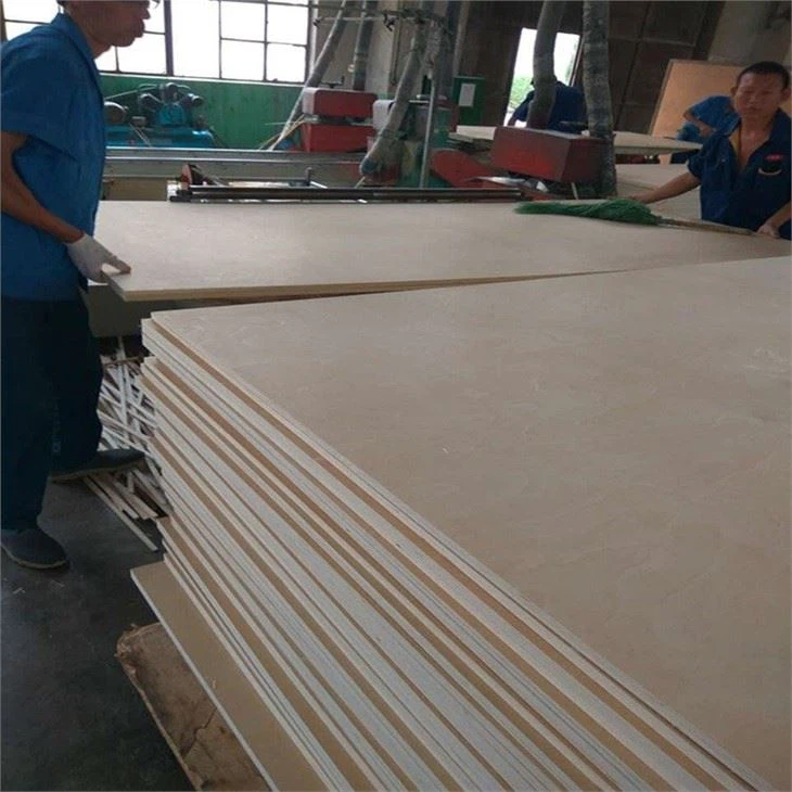 Birch Plywood