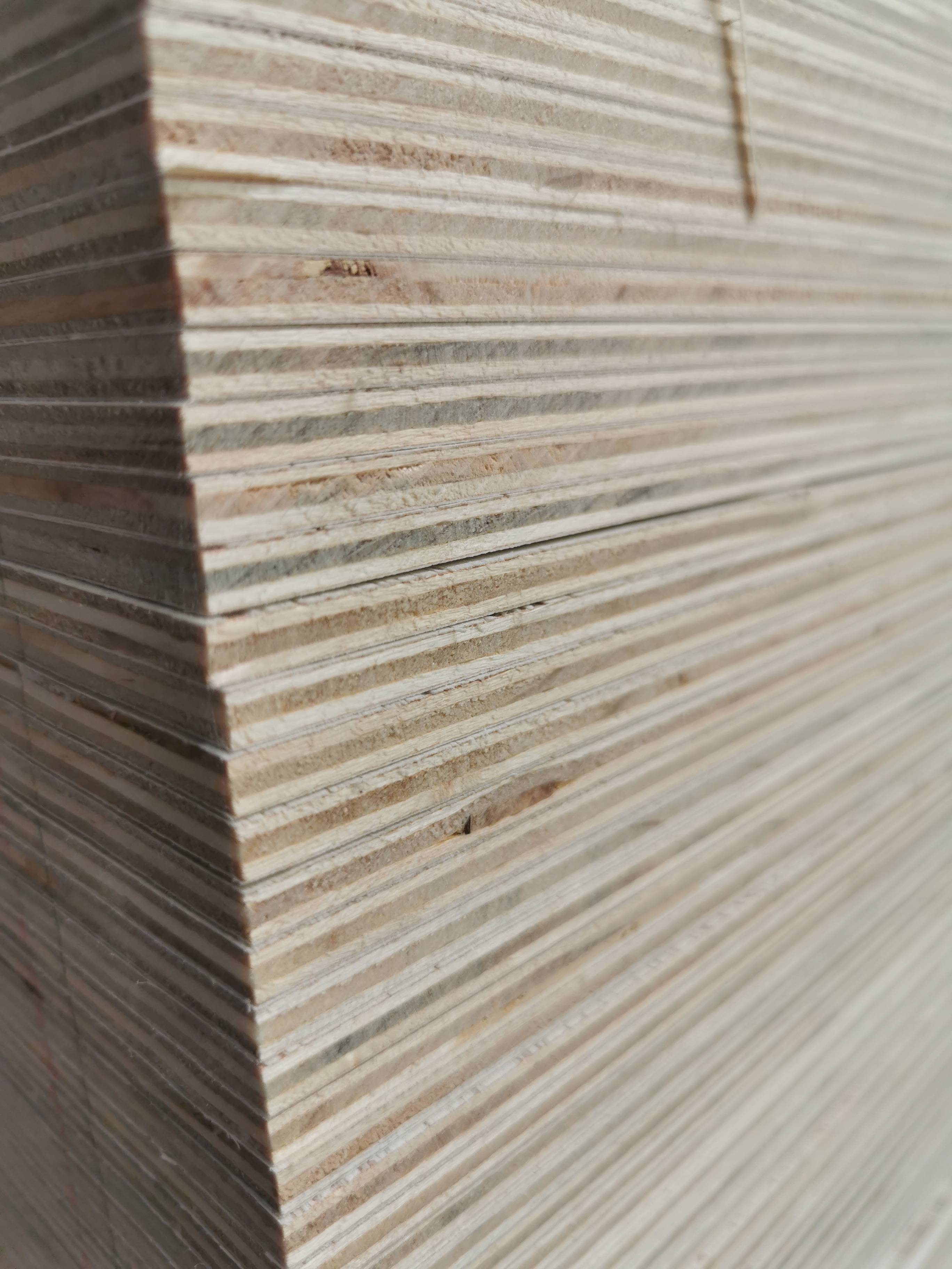 Bleached Poplar Plywood