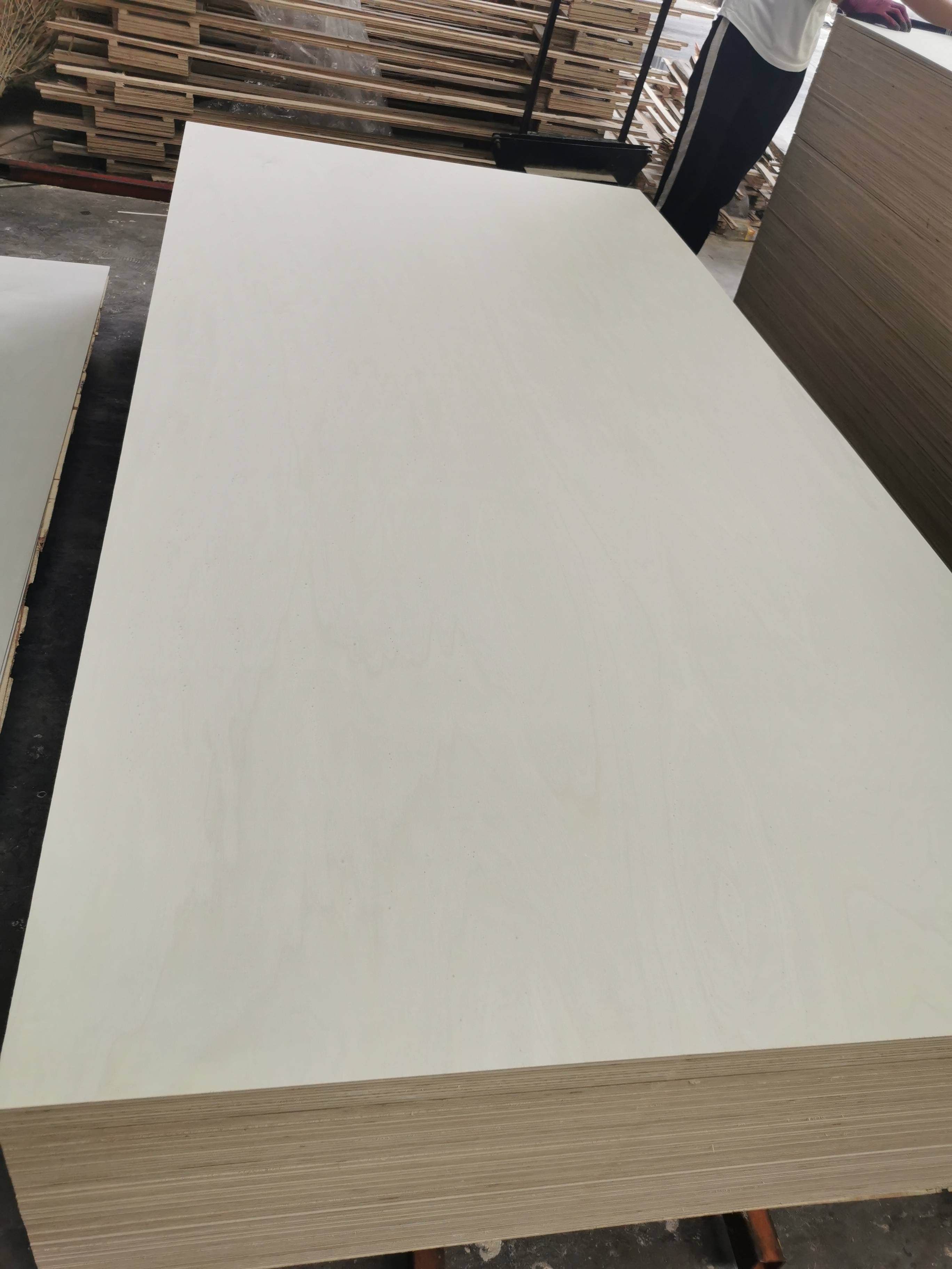Bleached Poplar Plywood